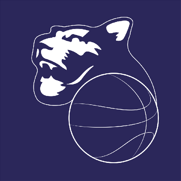 https://www.basketmarche.it/immagini_articoli/01-02-2025/basket-girls-ancona-sconfitta-casa-dalle-panthers-roseto-600.png