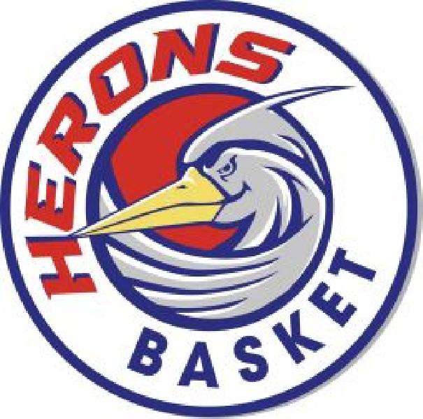 https://www.basketmarche.it/immagini_articoli/02-10-2024/herons-montecatini-prendono-punti-virtus-roma-1960-600.jpg