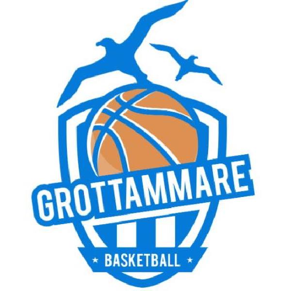 https://www.basketmarche.it/immagini_articoli/03-05-2023/grottammare-basketball-ferma-corte-appello-omologazione-600.jpg