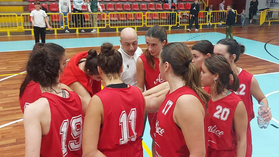 https://www.basketmarche.it/immagini_articoli/04-11-2024/adriatico-ancona-suoi-punti-tasp-teramo-600.jpg