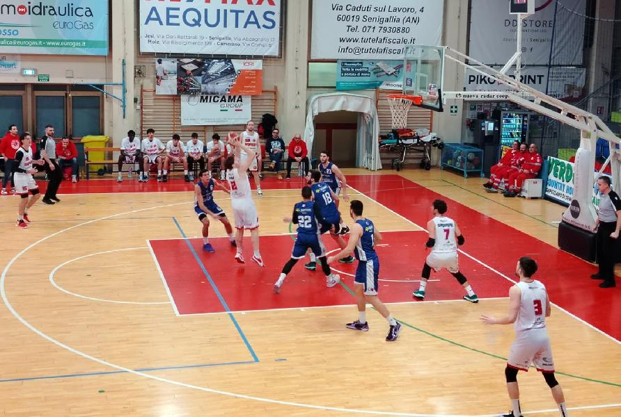 https://www.basketmarche.it/immagini_articoli/05-01-2025/pallacanestro-senigallia-oltre-assenze-batte-valdiceppo-basket-600.jpg