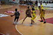 https://www.basketmarche.it/immagini_articoli/06-10-2024/giocata-saltykov-regala-vittoria-angels-santarcangelo-campo-guelfo-basket-120.jpg