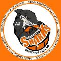 https://www.basketmarche.it/immagini_articoli/06-12-2024/marotta-sharks-prendono-punti-basket-montecchio-120.jpg