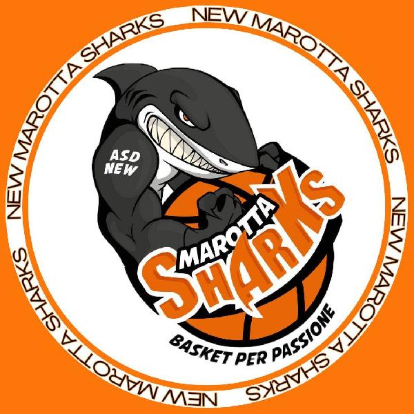 https://www.basketmarche.it/immagini_articoli/06-12-2024/marotta-sharks-prendono-punti-basket-montecchio-600.jpg