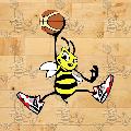 https://www.basketmarche.it/immagini_articoli/08-11-2024/bees-pesaro-prendono-punti-urbino-120.jpg