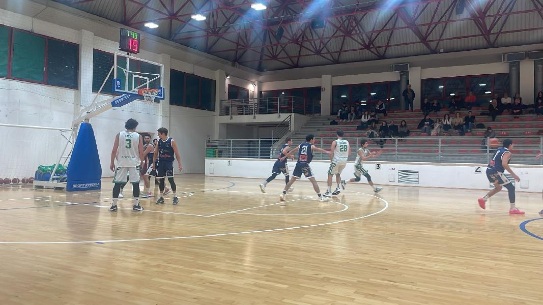 https://www.basketmarche.it/immagini_articoli/08-11-2024/campetto-ancona-supera-basket-giovane-pesaro-correre-600.jpg