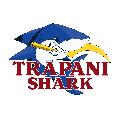 https://www.basketmarche.it/immagini_articoli/10-01-2025/trapani-shark-comunicato-stampa-merito-trattativa-dame-sarr-120.jpg