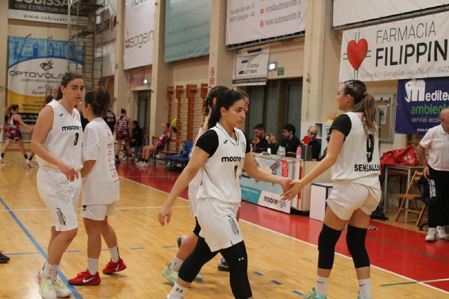 https://www.basketmarche.it/immagini_articoli/12-01-2025/basket-2000-senigallia-sconfitto-casa-pink-basket-terni-600.jpg