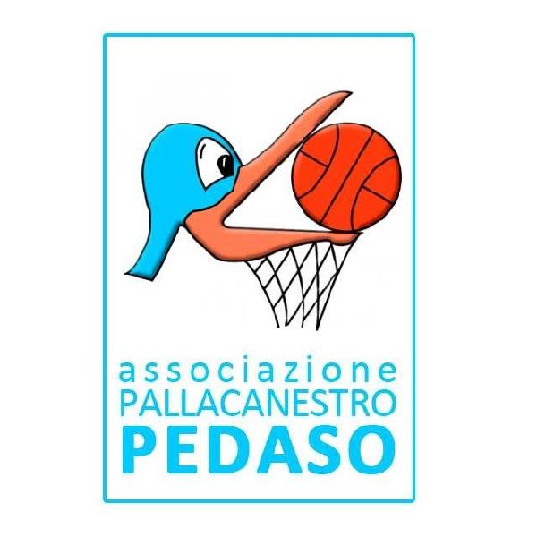 https://www.basketmarche.it/immagini_articoli/12-07-2024/ufficiale-pallacanestro-pedaso-saluta-ringrazia-giocatori-600.jpg