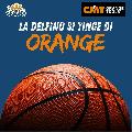 https://www.basketmarche.it/immagini_articoli/13-08-2024/ufficiale-orange-tools-main-sponsor-delfino-pesaro-120.jpg