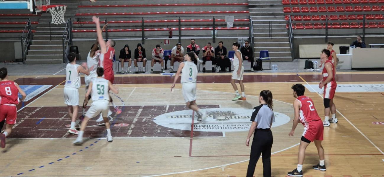 https://www.basketmarche.it/immagini_articoli/14-12-2024/pallacanestro-urbania-passa-senza-problemi-campo-stamura-ancona-600.jpg