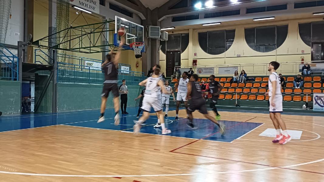 https://www.basketmarche.it/immagini_articoli/16-02-2025/basket-todi-spunta-finale-terra-molisana-fortitudo-isernia-cade-casa-600.jpg