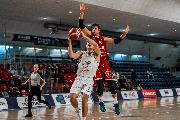 https://www.basketmarche.it/immagini_articoli/16-11-2024/bramante-pesaro-ritrova-vittoria-pallacanestro-senigallia-120.jpg