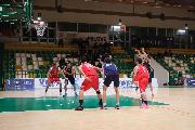 https://www.basketmarche.it/immagini_articoli/17-01-2025/sporting-pselpidio-sfida-amatori-severino-120.jpg