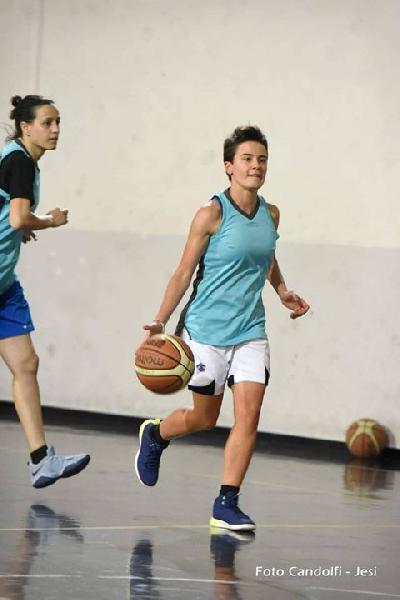 https://www.basketmarche.it/immagini_articoli/17-06-2019/ufficiale-chiara-cerri-giocatrice-ancona-600.jpg