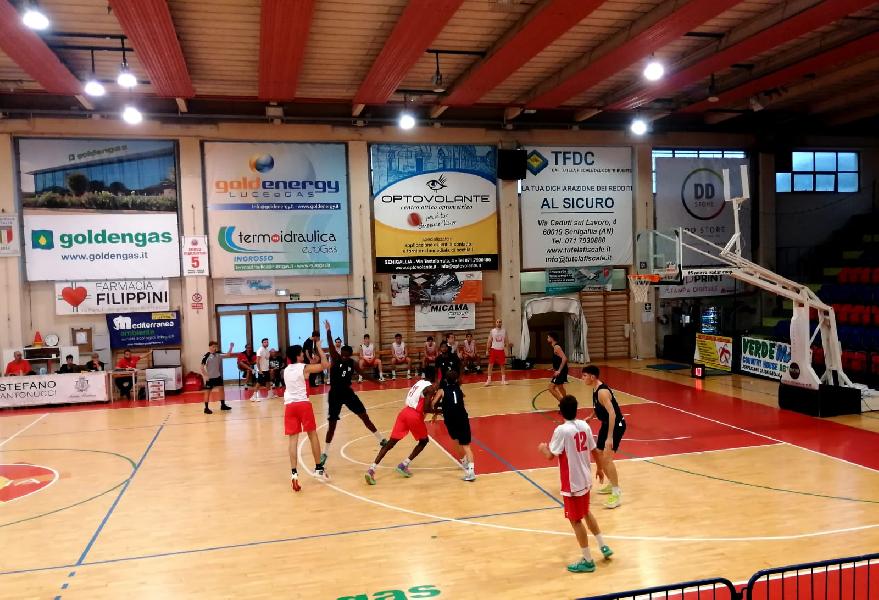 https://www.basketmarche.it/immagini_articoli/19-09-2024/virtus-civitanova-espugna-campo-pallacanestro-senigallia-600.jpg