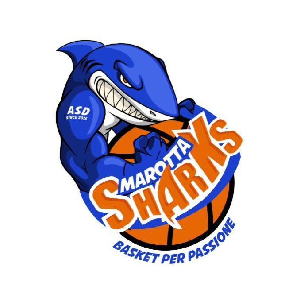 https://www.basketmarche.it/immagini_articoli/19-10-2024/marotta-sharks-passano-volata-campo-rattors-pesaro-600.jpg