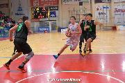 https://www.basketmarche.it/immagini_articoli/19-10-2024/senigallia-basket-2020-prende-derby-marotta-basket-120.jpg