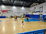 https://www.basketmarche.it/immagini_articoli/20-10-2024/castelfidardo-supera-volata-robur-family-osimo-120.jpg