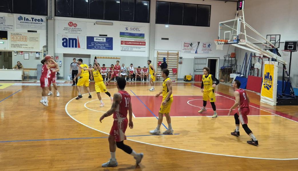 https://www.basketmarche.it/immagini_articoli/20-11-2024/pall-urbania-coach-donati-stiamo-crescendo-mentalit-questa-vittoria-dato-buone-risposte-600.jpg