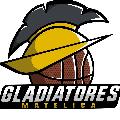 https://www.basketmarche.it/immagini_articoli/20-12-2024/gladiatores-matelica-trovano-punti-camerino-120.jpg