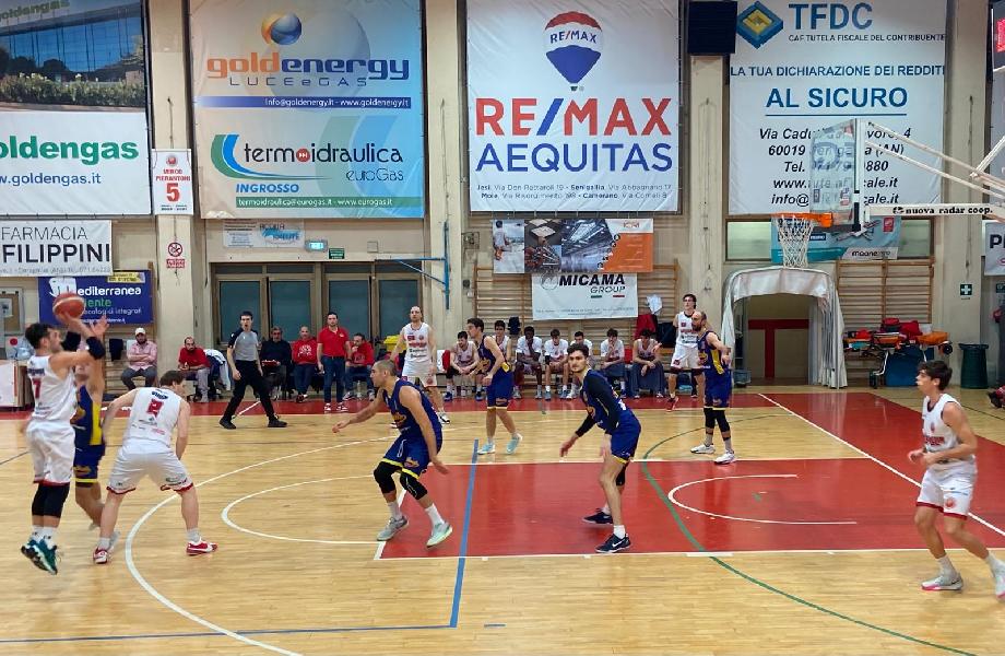 https://www.basketmarche.it/immagini_articoli/22-01-2025/pall-senigallia-coach-petitto-abbiamo-meritato-vittoria-guardiamo-fiducia-futuro-600.jpg