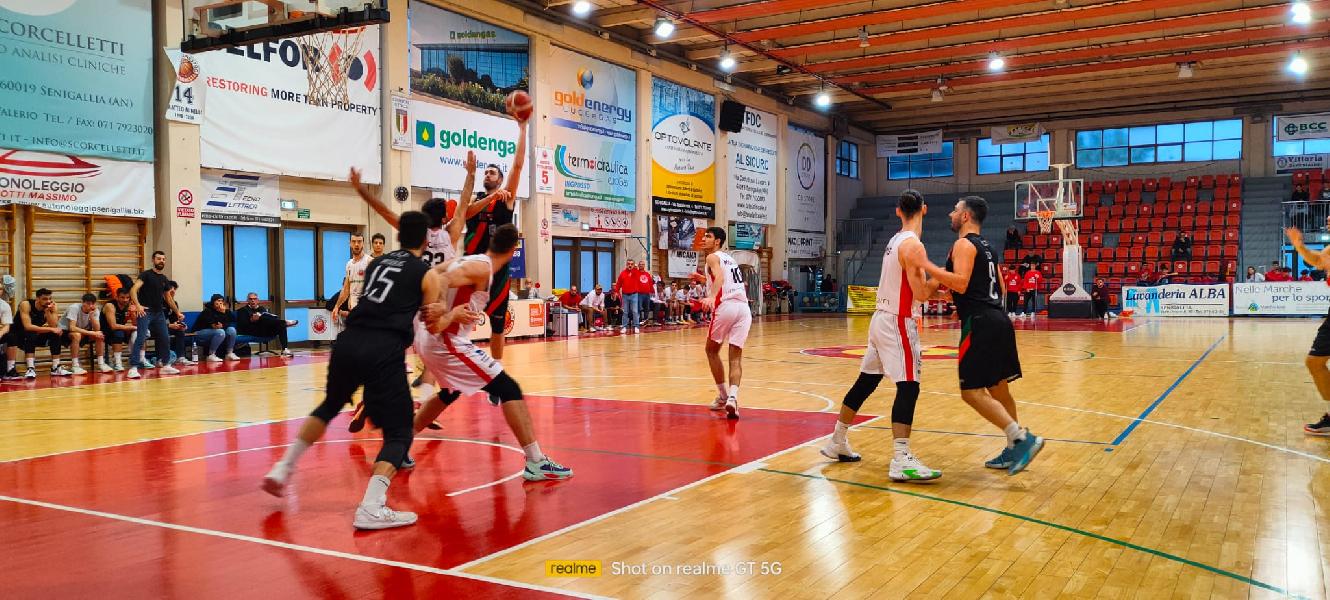 https://www.basketmarche.it/immagini_articoli/24-03-2024/convincente-vittoria-pallacanestro-senigallia-pallacanestro-palestrina-600.jpg