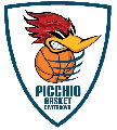 https://www.basketmarche.it/immagini_articoli/24-07-2024/ufficiale-picchio-civitanova-riparte-conferma-staff-tecnico-giocatori-120.png