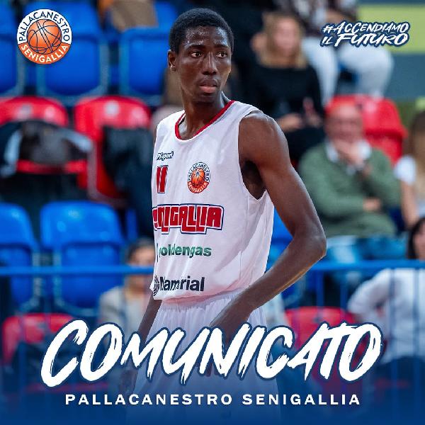 https://www.basketmarche.it/immagini_articoli/25-01-2025/ufficiale-separano-strade-pallacanestro-senigallia-tamboura-600.jpg