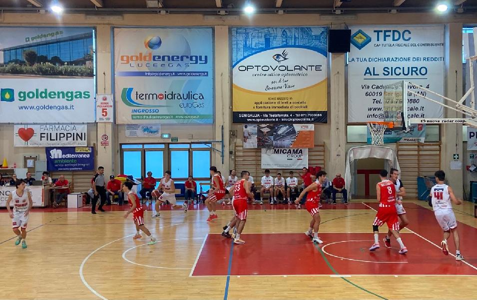 https://www.basketmarche.it/immagini_articoli/29-09-2024/pallacanestro-senigallia-parte-piede-giusto-supera-teramo-spicchi-600.jpg