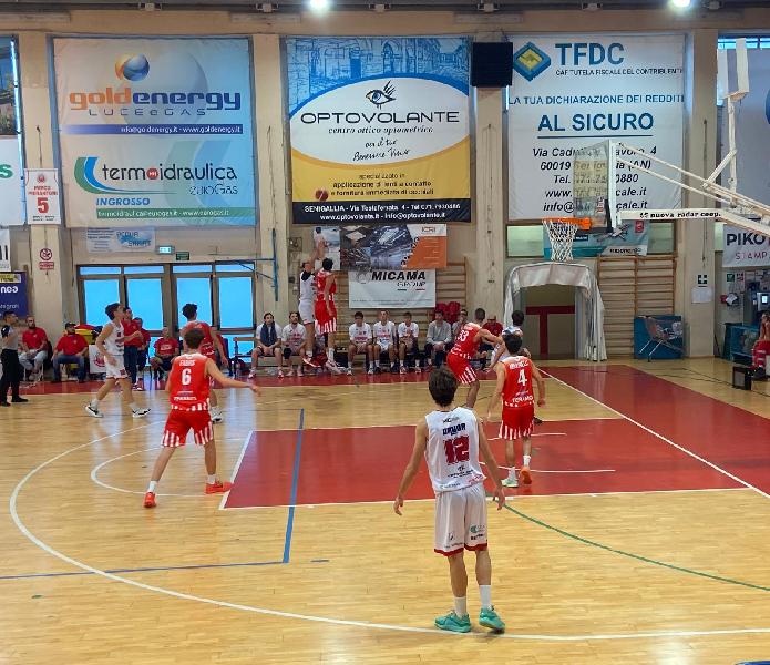 https://www.basketmarche.it/immagini_articoli/30-09-2024/pallacanestro-senigallia-inizia-campionato-vittoria-teramo-600.jpg